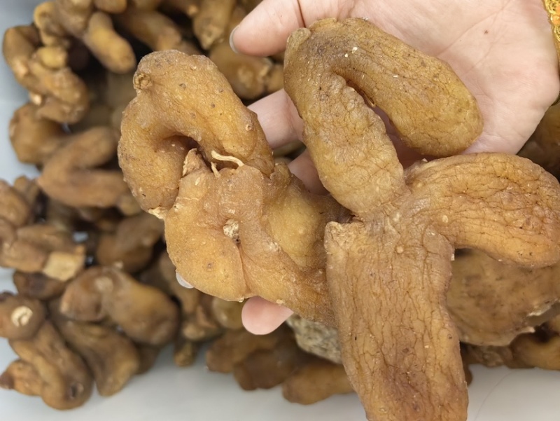 鸡头黄精姜型黄精批发各种黄精规格齐全量大价优