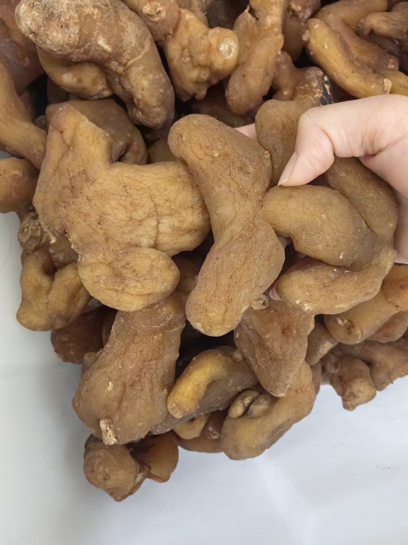 鸡头黄精姜型黄精批发各种黄精规格齐全量大价优