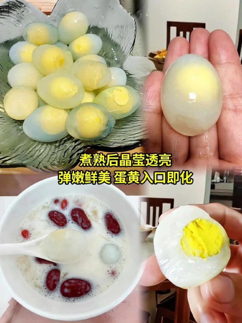 养殖厂批发零售鸽子蛋支持一件代发。