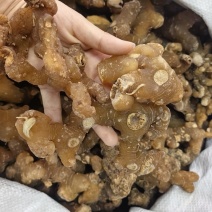 优质多花黄精规格齐全可供大货黄精个