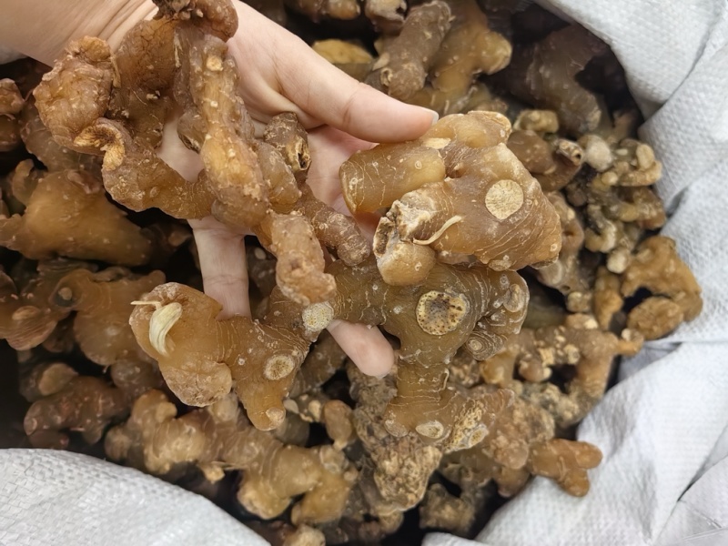 优质多花黄精规格齐全可供大货黄精个