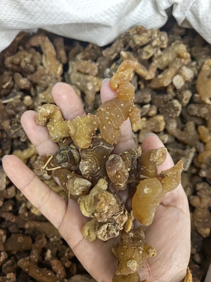 优质多花黄精规格齐全可供大货黄精个