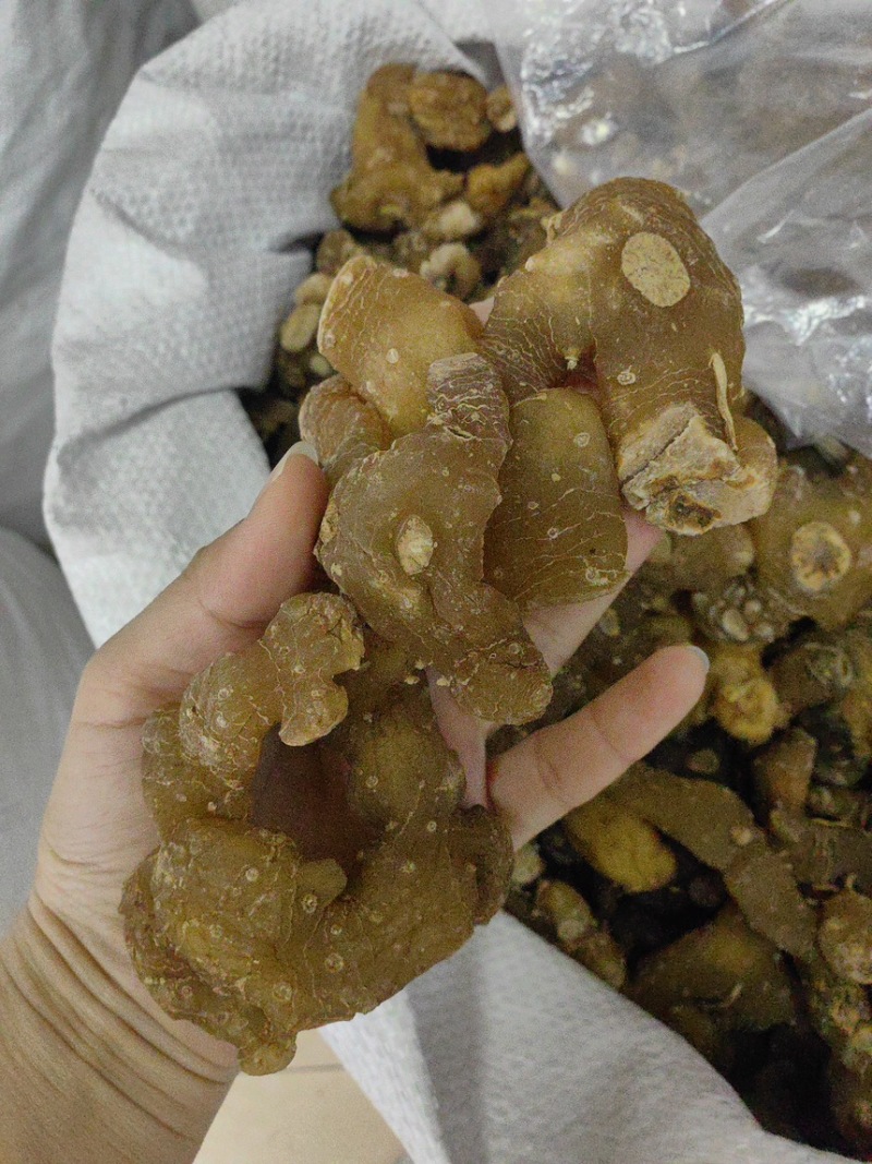 优质多花黄精规格齐全可供大货黄精个