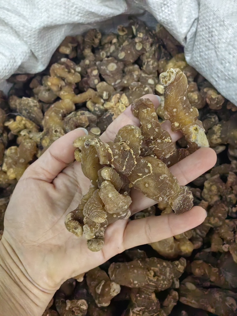 优质多花黄精规格齐全可供大货黄精个