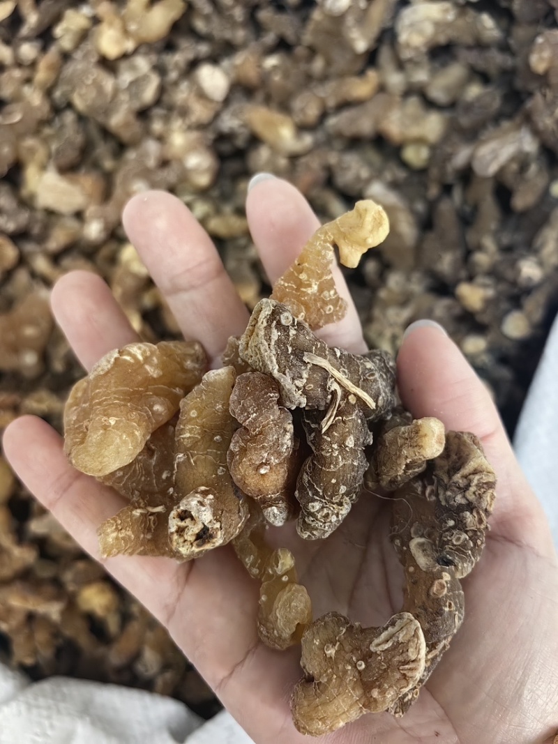 优质多花黄精规格齐全可供大货黄精个