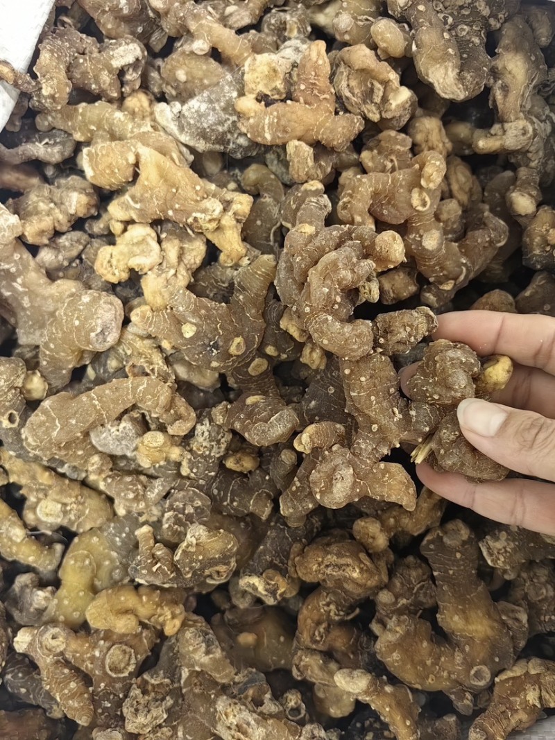 优质多花黄精规格齐全可供大货黄精个