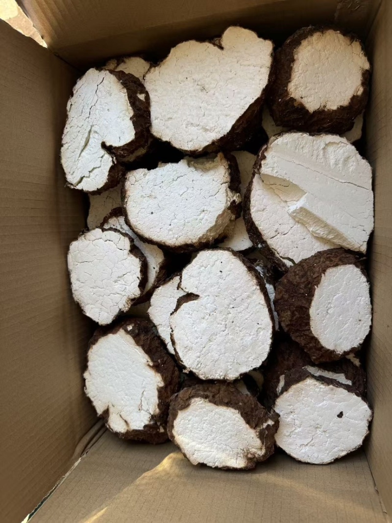 云南楚雄茯苓水洗带皮大片无熏硫全年有货，可视频看货
