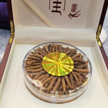 虫草（鲜草，干草）