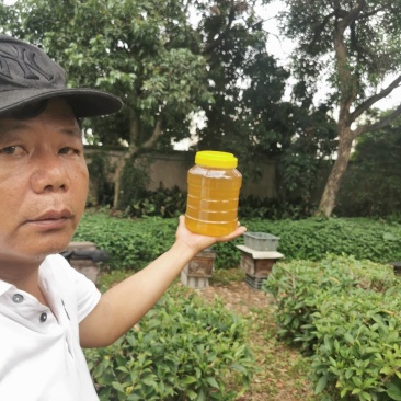 梅妃故里，贵妃**，纯正封盖成熟2026年新出荔枝蜜