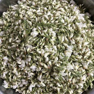 【洋槐花】河南洋槐花/新鲜洋槐花/现摘现发精选好货