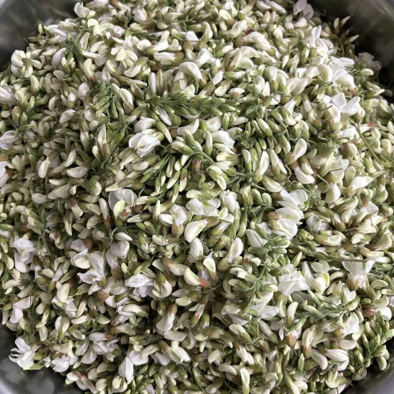 【洋槐花】河南洋槐花/新鲜洋槐花/现摘现发精选好货