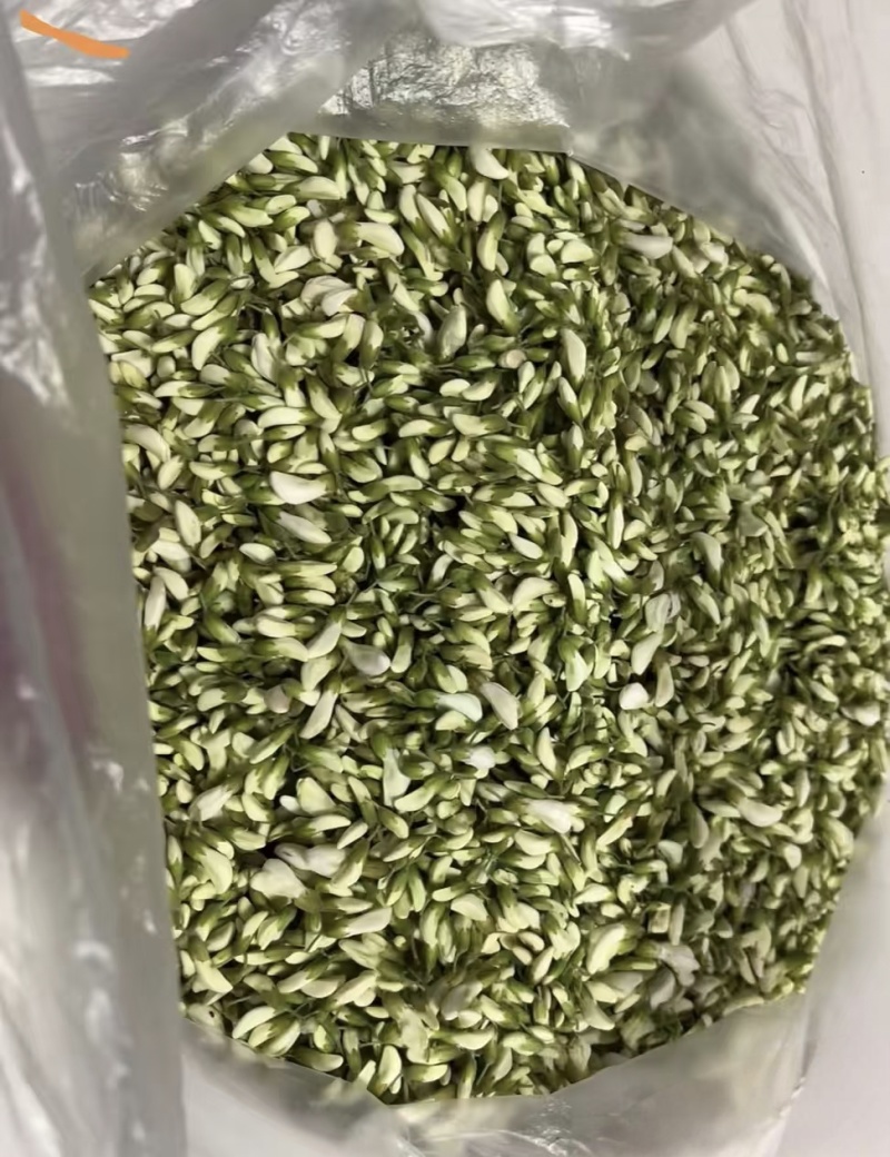 【洋槐花】河南洋槐花/新鲜洋槐花/现摘现发精选好货