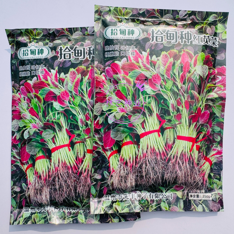 拾甸种红苋菜种子梗嫩脆口感好软糯花红苋菜种子叶椭尖形苋菜