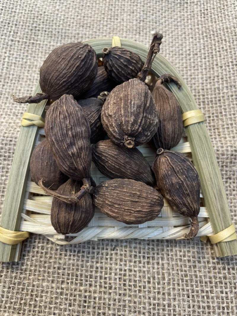 草果云南草果新货调料批发