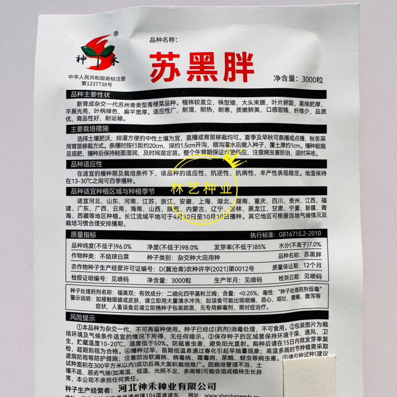 苏黑胖苏州青种子口感好黑绿肥厚高产抗病商品性佳农家秋季播