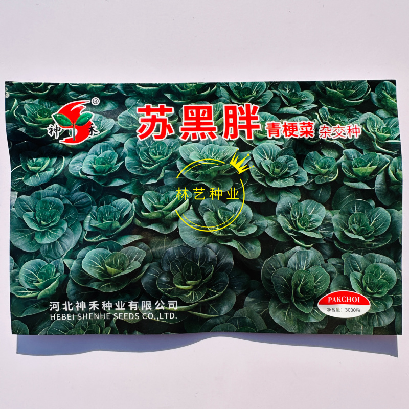 苏黑胖苏州青种子口感好黑绿肥厚高产抗病商品性佳农家秋季播