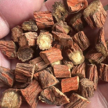秦岭山非种植丹参一级农家深山丹参段南丹参可磨粉粉500g