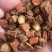 秦岭山非种植丹参一级农家深山丹参段南丹参可磨粉粉500g