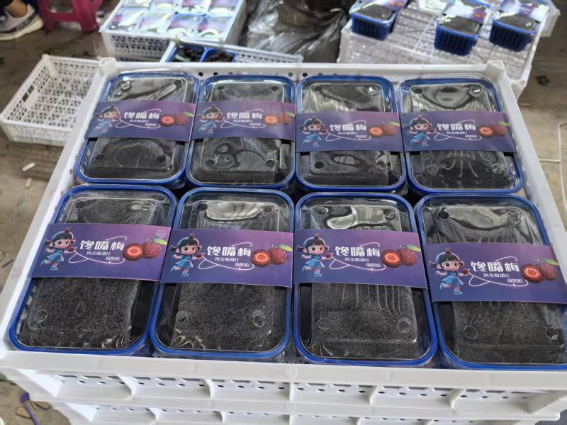 云南高山荸荠小黑炭杨梅