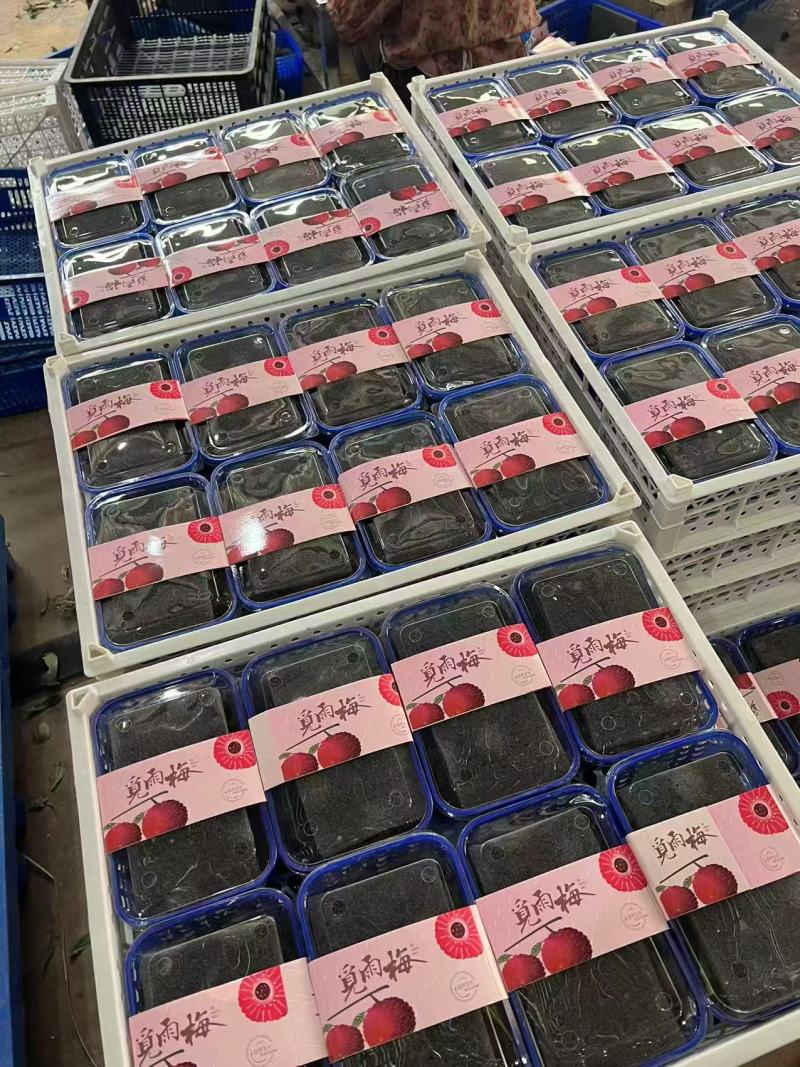 云南高山荸荠小黑炭杨梅