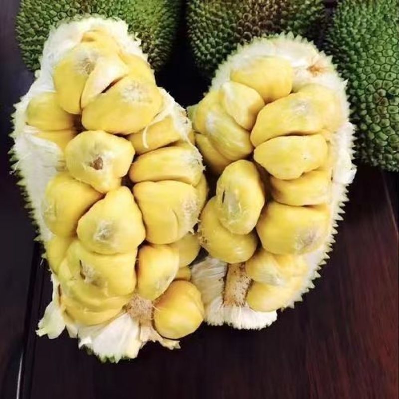 海南榴莲蜜批发全国发货