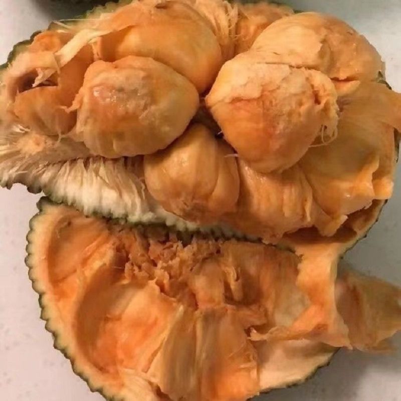 海南榴莲蜜批发全国发货