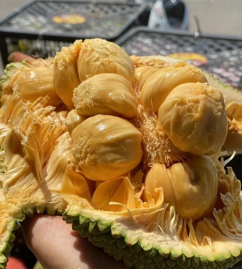 海南榴莲蜜批发全国发货