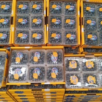 F6)蓝莓鲜果，产地直发，一件代发，商超社区团购
