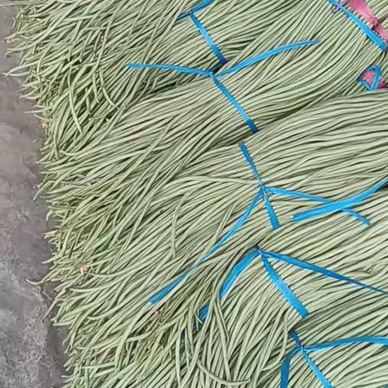 长期稳定供应新鲜豆角，产地直采、品质上乘，量大价优！
