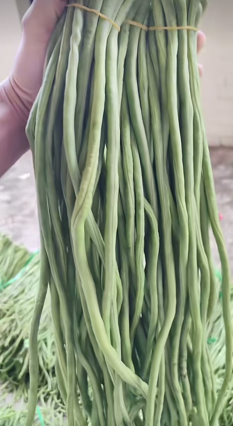 长期稳定供应新鲜豆角，产地直采、品质上乘，量大价优！