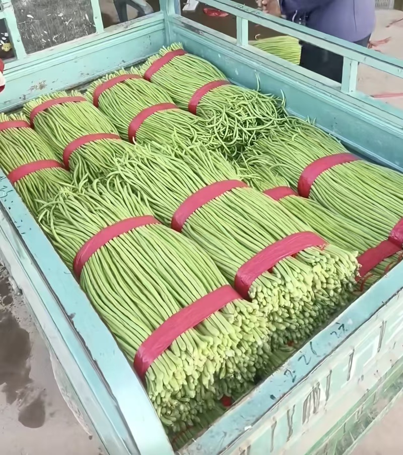 长期稳定供应新鲜豆角，产地直采、品质上乘，量大价优！