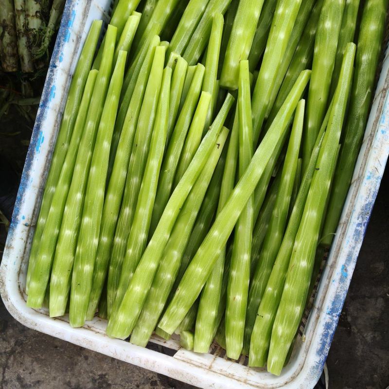去皮莴笋肉工厂直发学校食堂餐饮配送公司常年供应