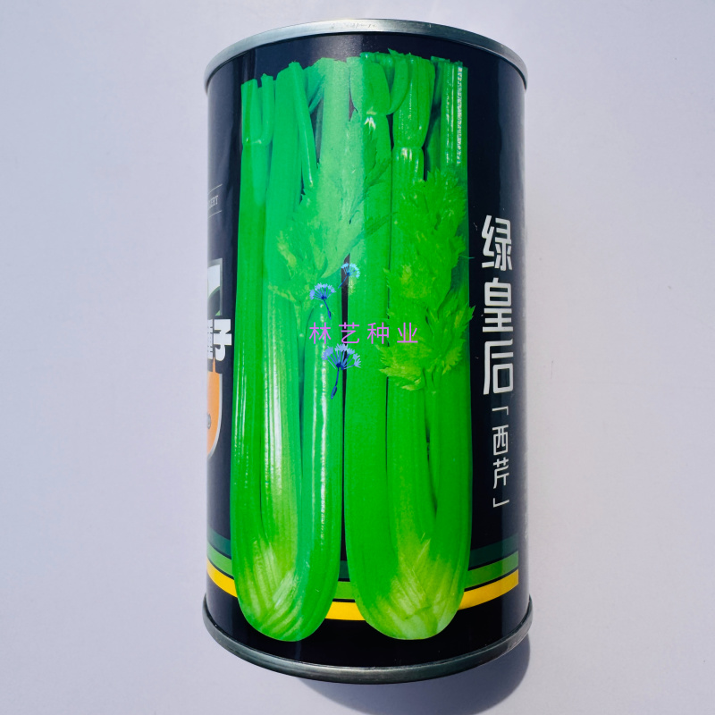 璐通绿皇后西芹种子早熟叶柄黄绿光亮纤维少耐低温耐抽薹