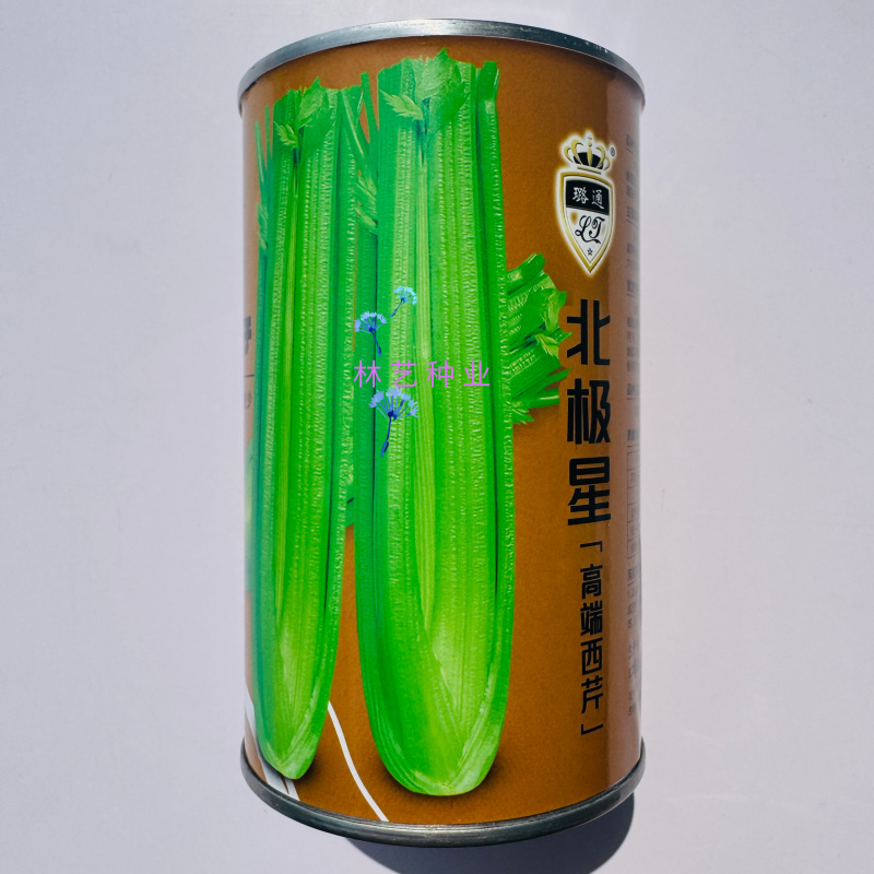 璐通北极星芹菜种子早熟丸粒化西芹种子纤维少叶柄黄绿光亮
