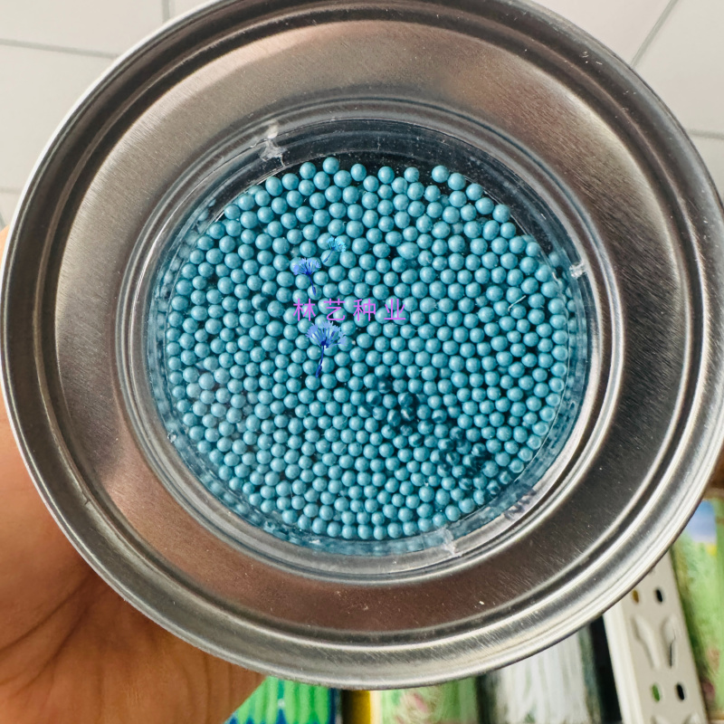 璐通北极星芹菜种子早熟丸粒化西芹种子纤维少叶柄黄绿光亮