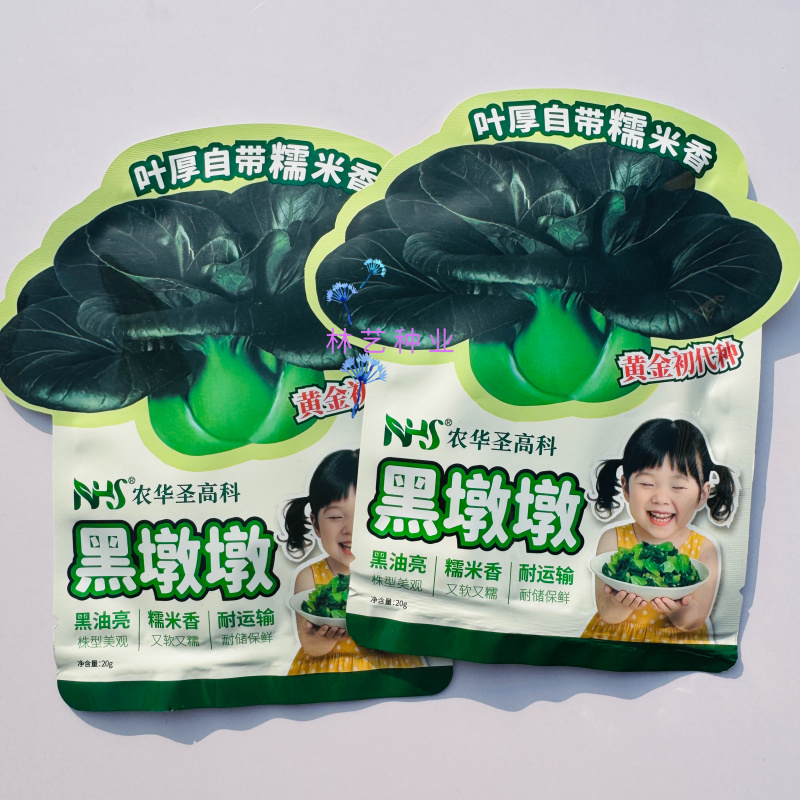 黑墩墩黑油亮大头束腰青菜种子叶片卵圆肥厚口感鲜甜有糯香