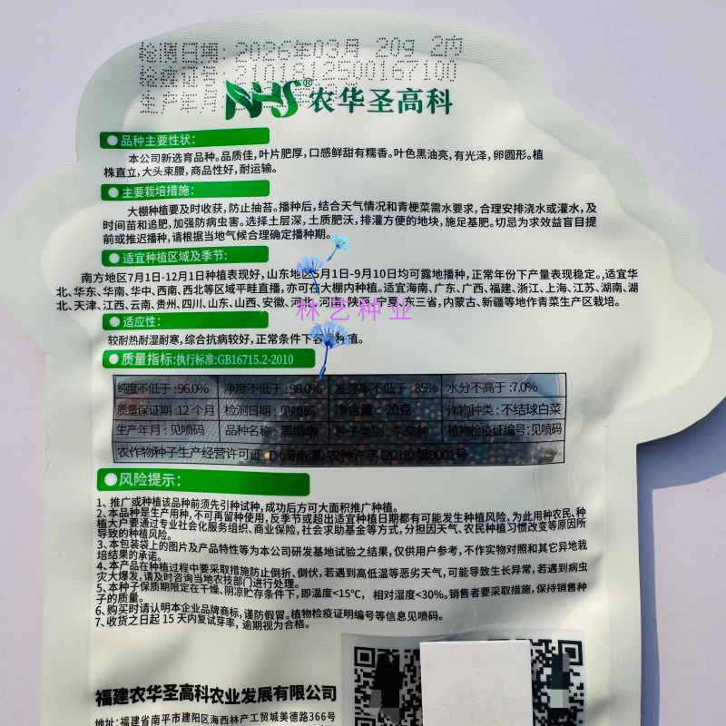 黑墩墩黑油亮大头束腰青菜种子叶片卵圆肥厚口感鲜甜有糯香