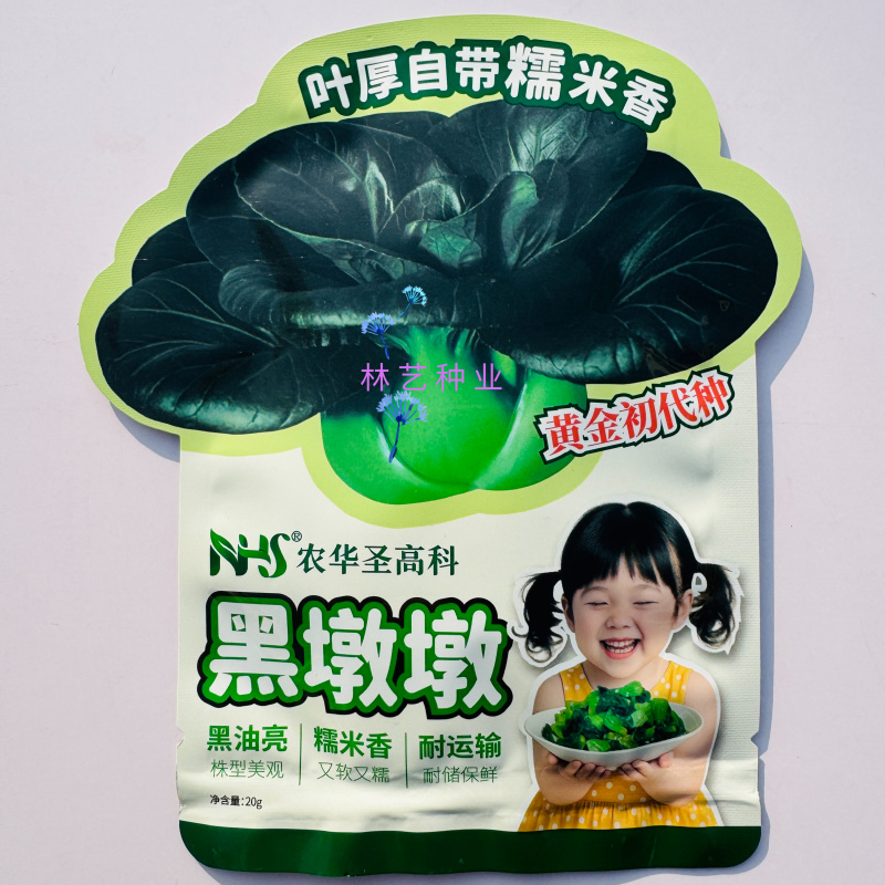 黑墩墩黑油亮大头束腰青菜种子叶片卵圆肥厚口感鲜甜有糯香