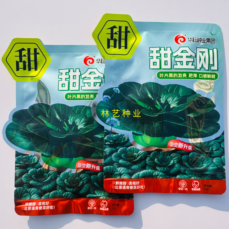 甜金刚黑油亮青梗菜种子叶色乌黑油亮肥厚有光泽大头束腰