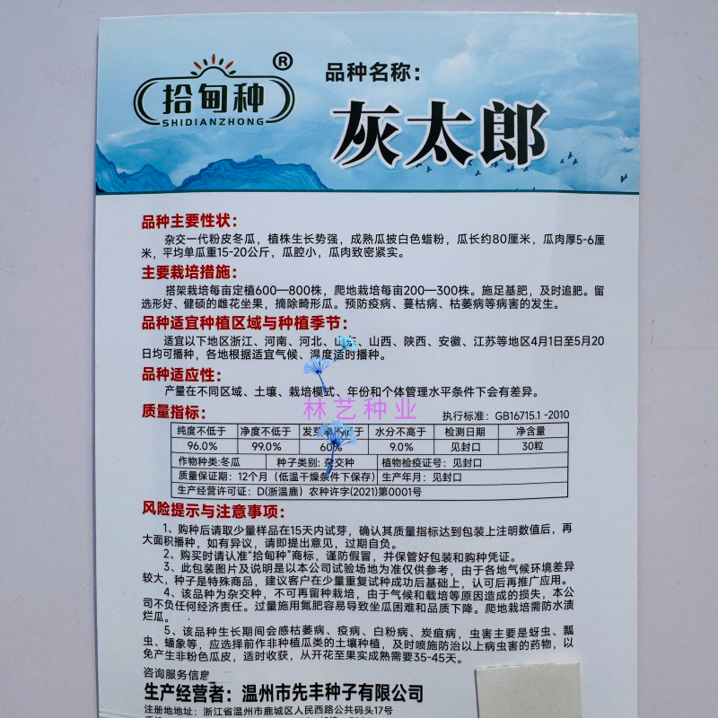 灰太郎粉皮杂交大冬瓜种子植株生长势强瓜腔小瓜肉致密紧实