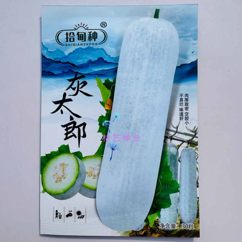 灰太郎粉皮杂交大冬瓜种子植株生长势强瓜腔小瓜肉致密紧实