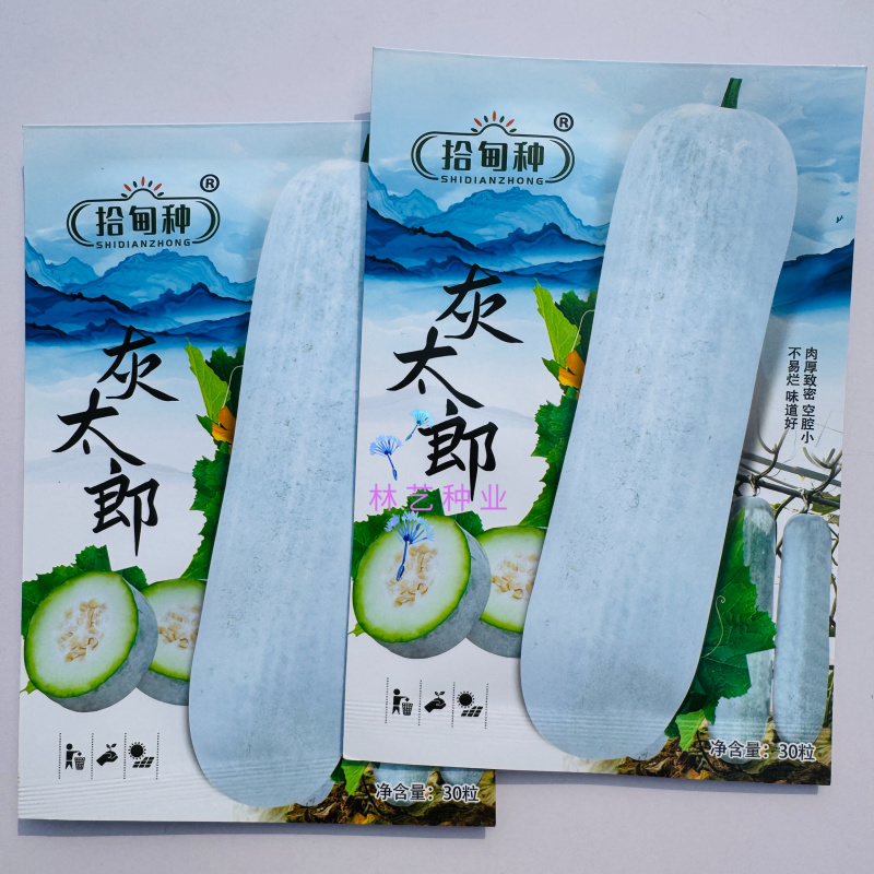 灰太郎粉皮杂交大冬瓜种子植株生长势强瓜腔小瓜肉致密紧实