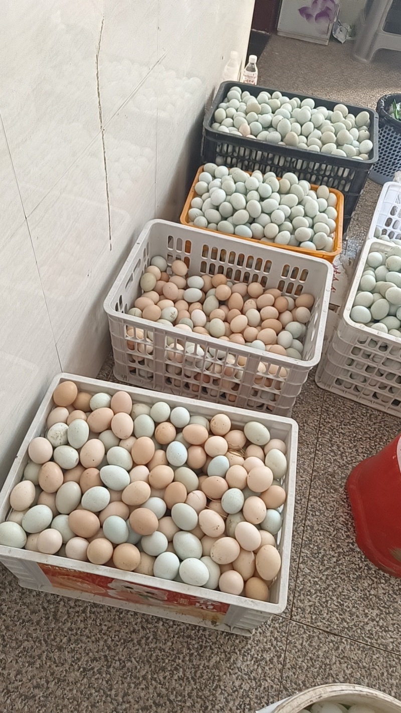 土鸡蛋