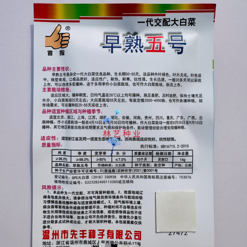 首指早熟5号一代交配大白菜种子早熟抗病速生净菜率高风味好