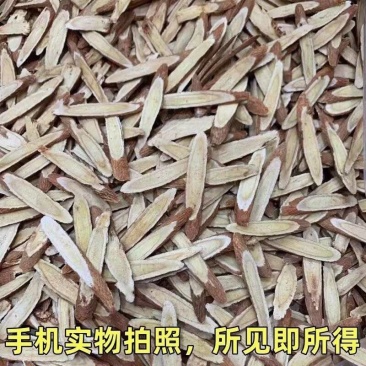 正宗红芪特级真品红芪甘肃武都红芪泡水泡酒煲汤红芪野生红芪