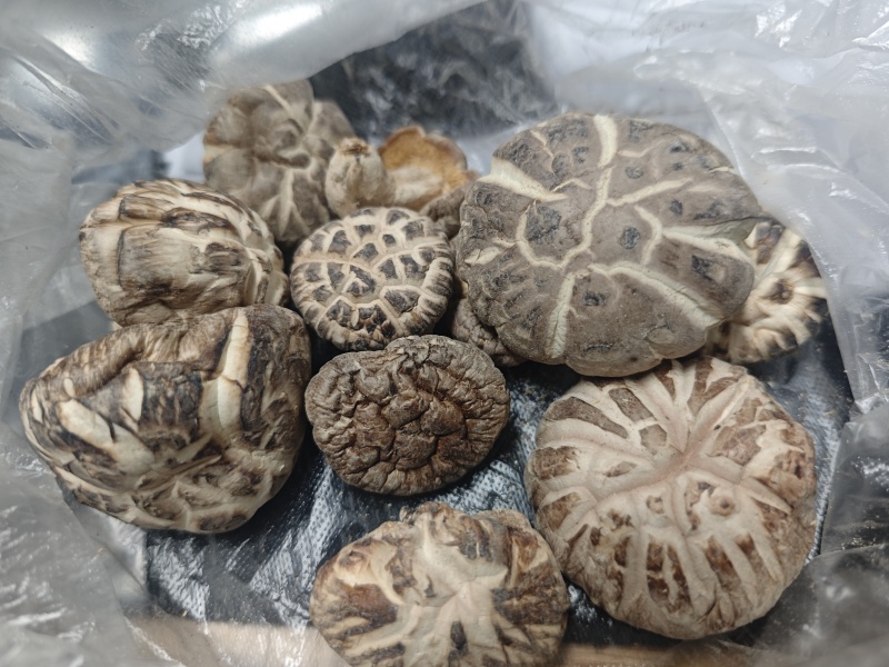 椴木香菇（干货）