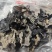 黑木耳（秋耳）一级（肉厚、无根、泡发率高）