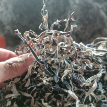木耳丝电商好货二茬精品优木耳丝无根木耳丝水分在百分之12