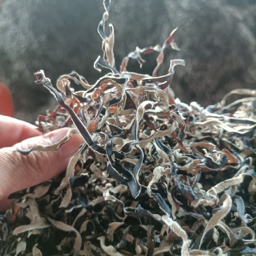 木耳丝电商好货二茬精品优木耳丝无根木耳丝水分在百分之12