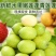 海南新鲜水果嫩莲蓬基地直供大量上市供货中，原产地供应全国